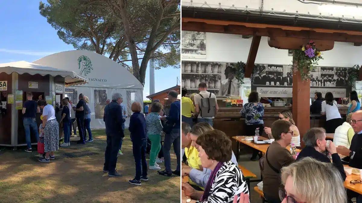 Torna la Festa degli Asparagi di Tavagnacco: tre weekend di degustazioni. Programma - 
