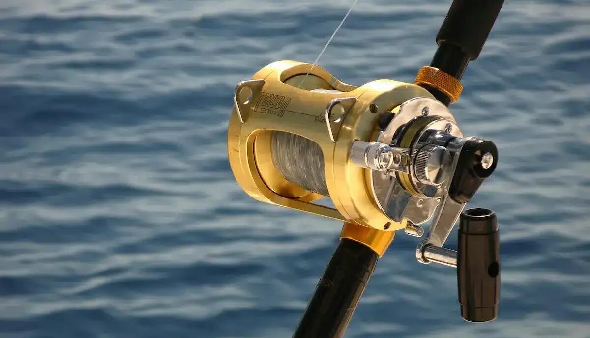 Pesca sportiva in Valcellina: il 2025 di gare nei torrenti Cellina e Cimoliana - 