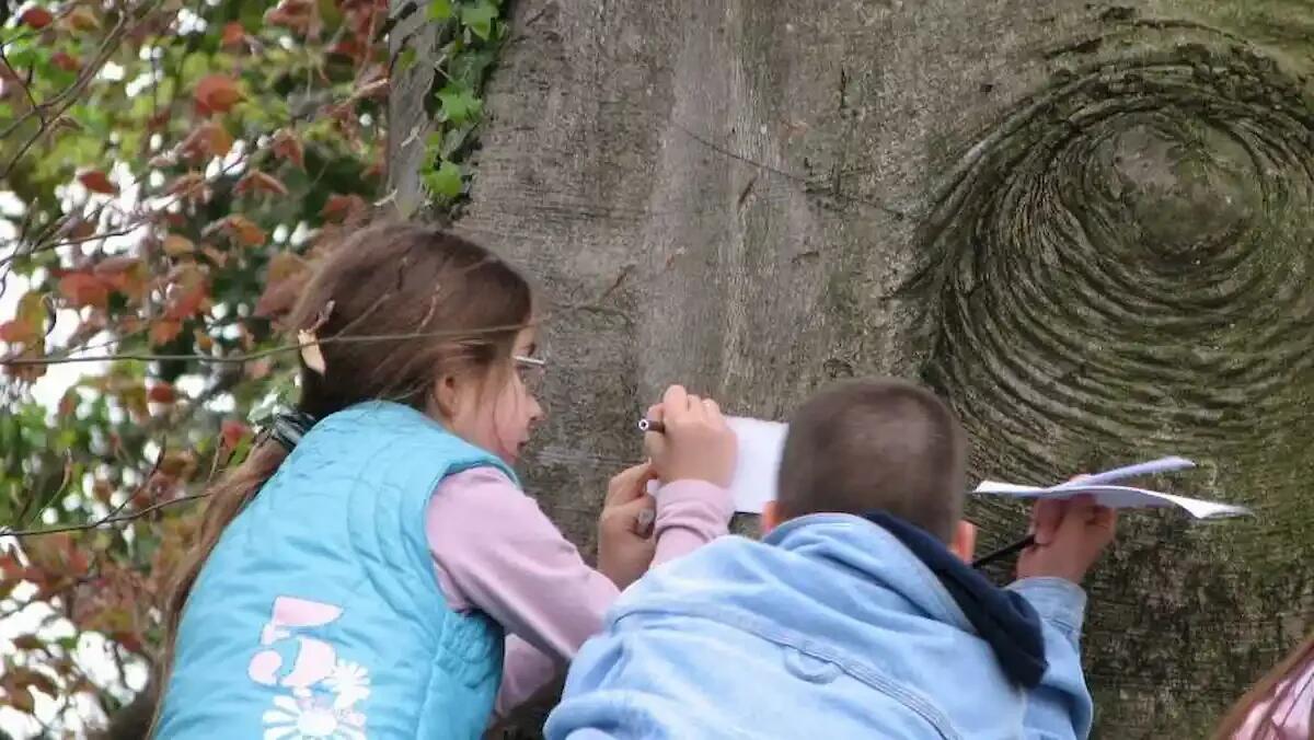 Spilimbergo ospita la prima intitolazione della "Foresta dei Giusti" il 11 aprile - 