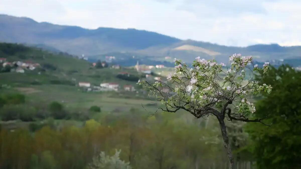 Rilasciato il nuovo numero de "La Via del BorGO": un racconto delle tradizioni pasquali goriziane - 