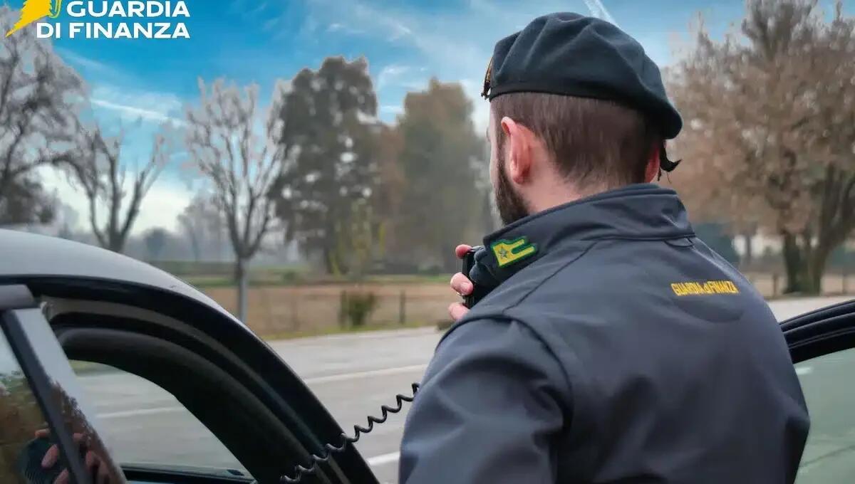 Impresa di imballaggi in legno utilizzava società "cartiere" per non pagare l'IVA: 5 denunce - 