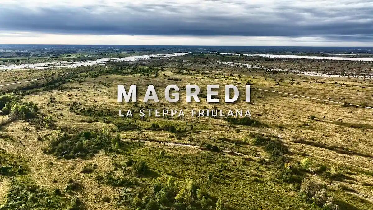 Arriva al cinema il documentario "Magredi - La steppa friulana". Dove e quando - 