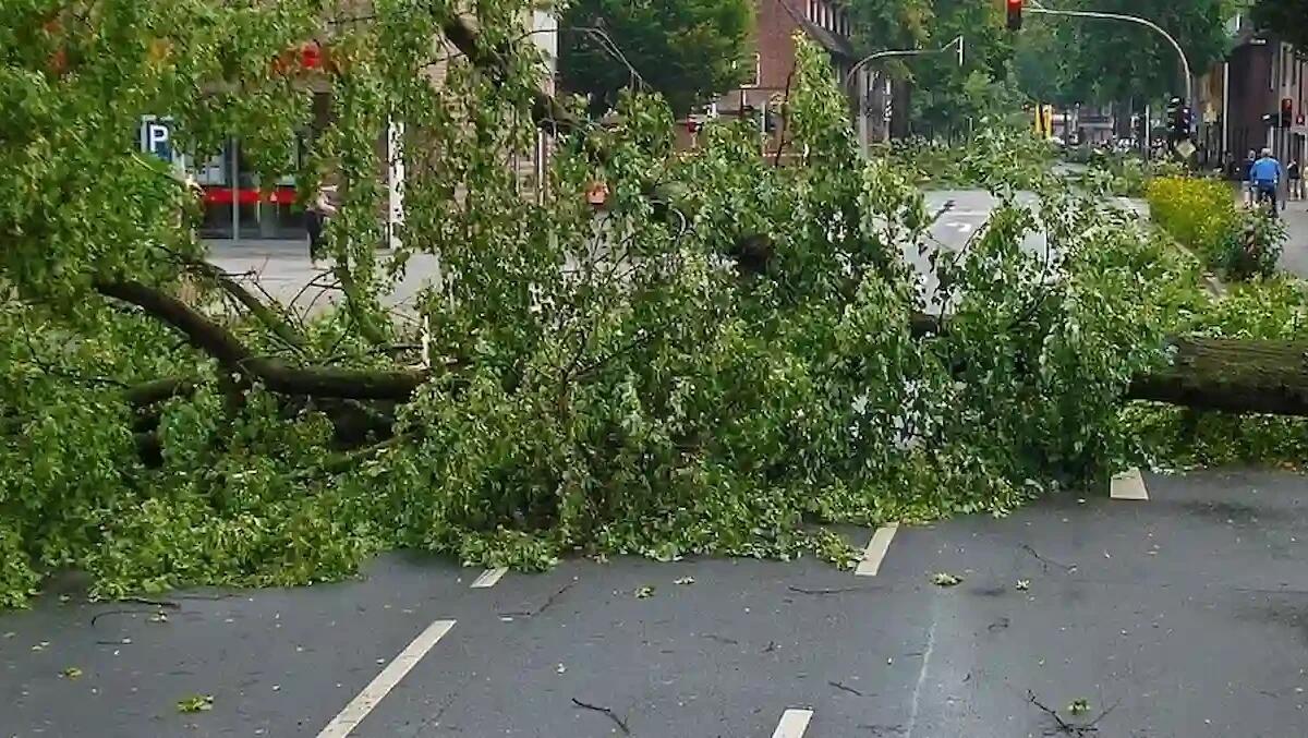 Tromba d’aria nel Trevigiano: scoperchiata la casetta degli Alpini e decine di alberi abbattuti - 