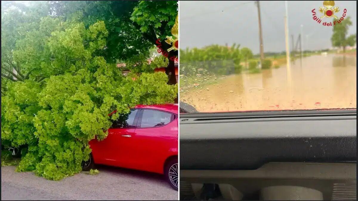 Maltempo nel Padovano, decine di interventi dei Vigili del Fuoco per allagamenti e alberi abbattuti - 