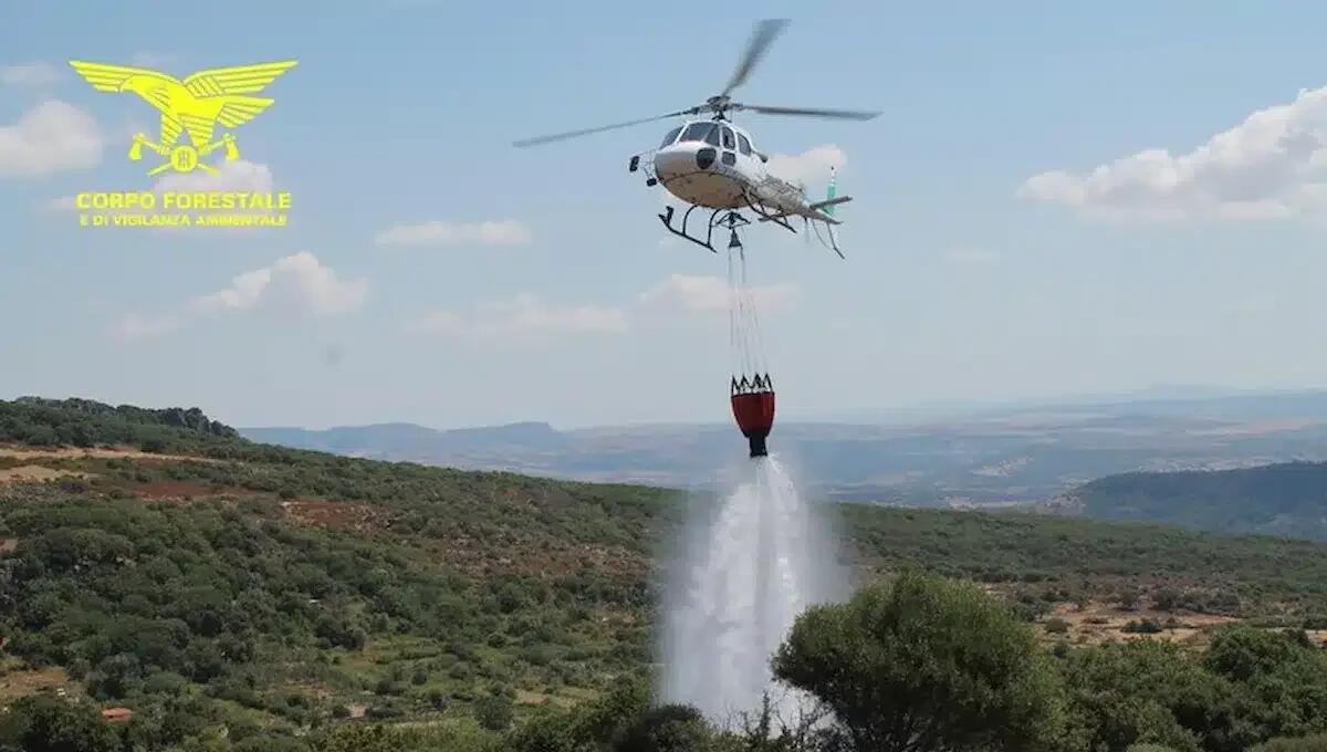 Le fiamme divorano due ettari di terreno a Lauco: l'incendio è doloso - 