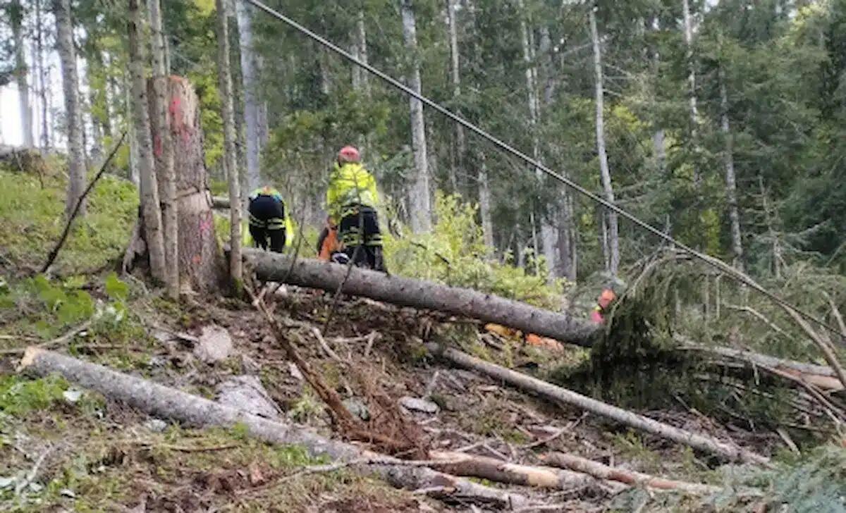 Tragedia sul lavoro a Sappada, boscaiolo 40enne muore travolto da un tronco. Cosa è successo - 