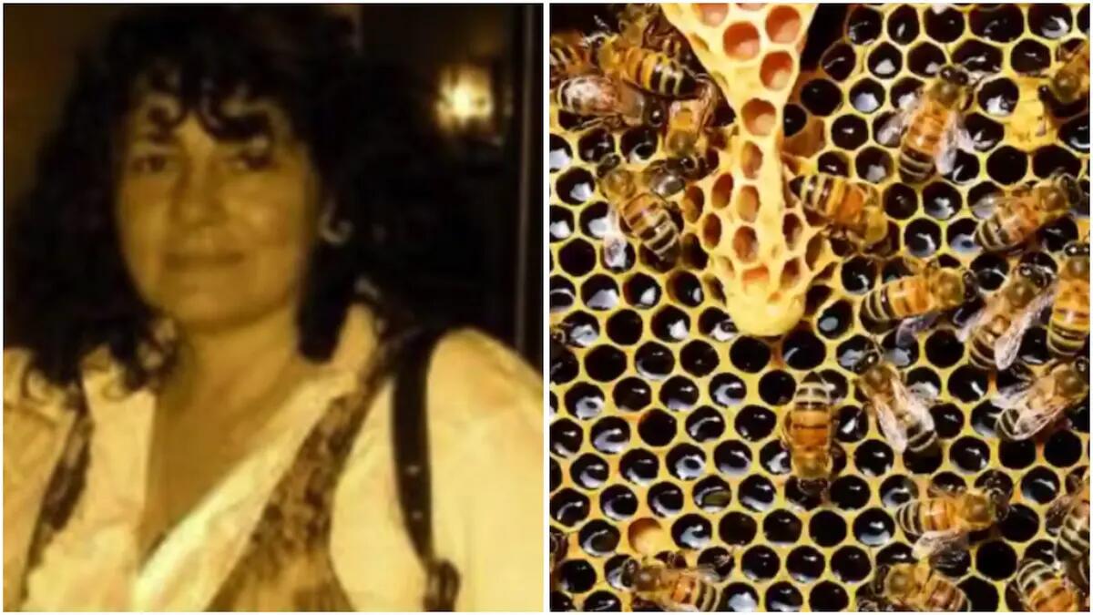 Viene punta da un'ape sul collo e sviene a terra: Angela muore davanti agli occhi del figlio - 