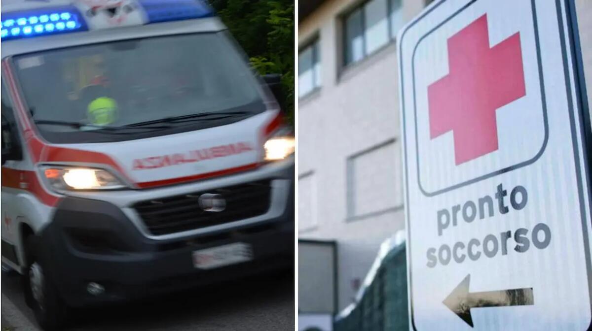 Aggredito in casa dai suoi cani: 46enne trovato sanguinante a terra con l'orecchio reciso - 