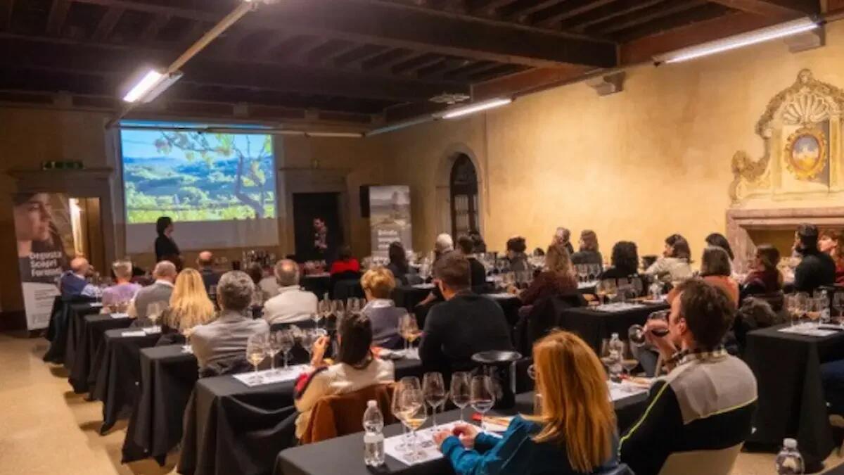 Udine, grande successo per le "Degustazioni nei musei": vino e arte conquistano oltre 150 persone - 