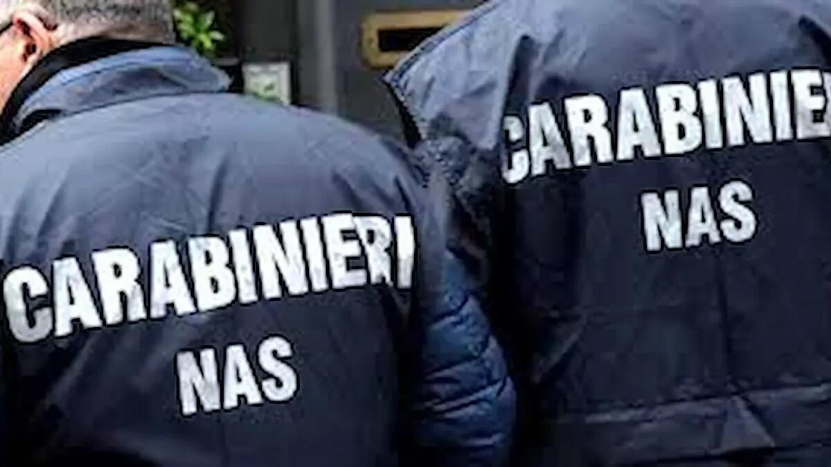 Controlli nel Vicentino: denunciati 3 automobilisti positivi all’etilometro e multato un bar non a norma - 