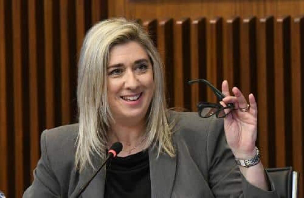 Semplificazione e finanziamenti regionali: le novità del ddl Multisettoriale del 2025 - 