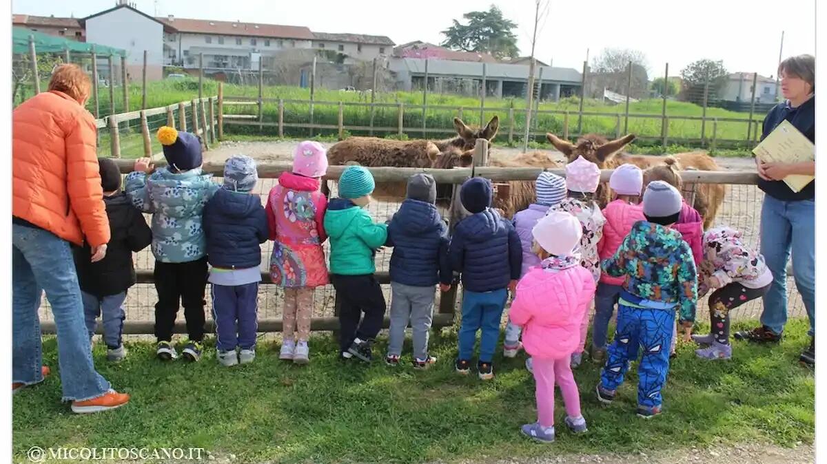 Pet therapy in Friuli: Ortoattivo Pet tra i primi enti accreditati -