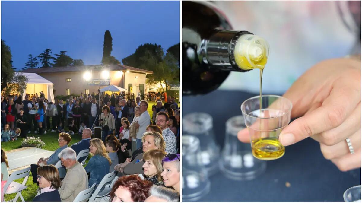 Un weekend tra colline, sapori e arte nel cuore del Friuli: torna “Olio e Dintorni”. Ecco quando. - 