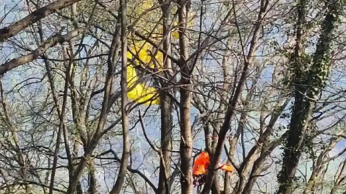 Vela si incastra su un albero durante la discesa: pilota di parapendio sospeso nel vuoto per tre ore - 