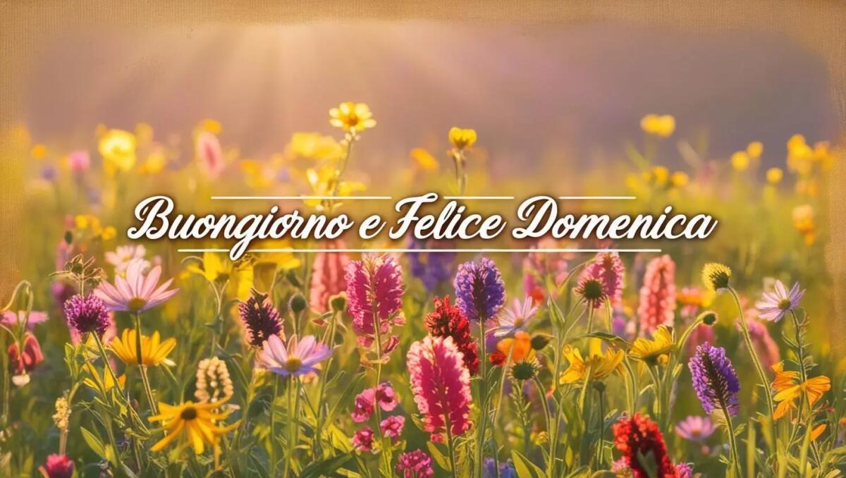 Buongiorno Domenica 18 Maggio 2025: immagini nuove e frasi per augurare Buona Giornata - 