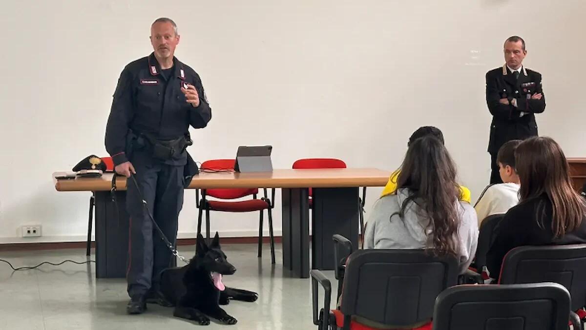 Bullismo, reati e stupefacenti: gli studenti di Aviano imparano la cultura della legalità con i Carabinieri -
