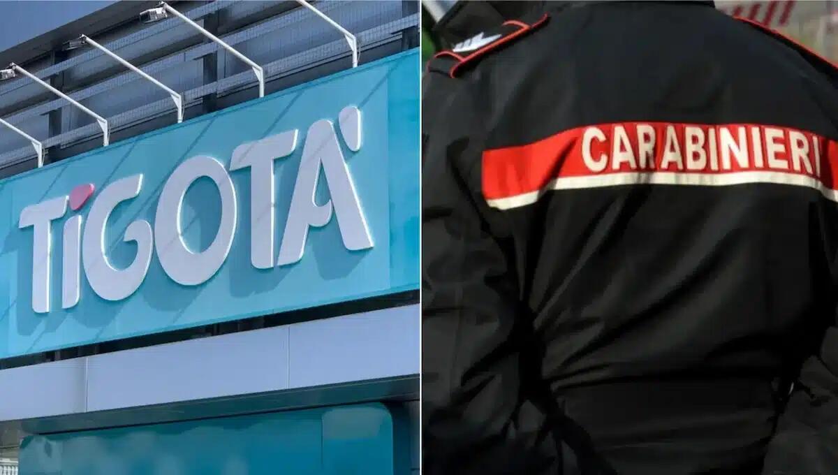 Entrano da Tigotà col fucile e rubano il fondo cassa: due rapinatori in fuga - 