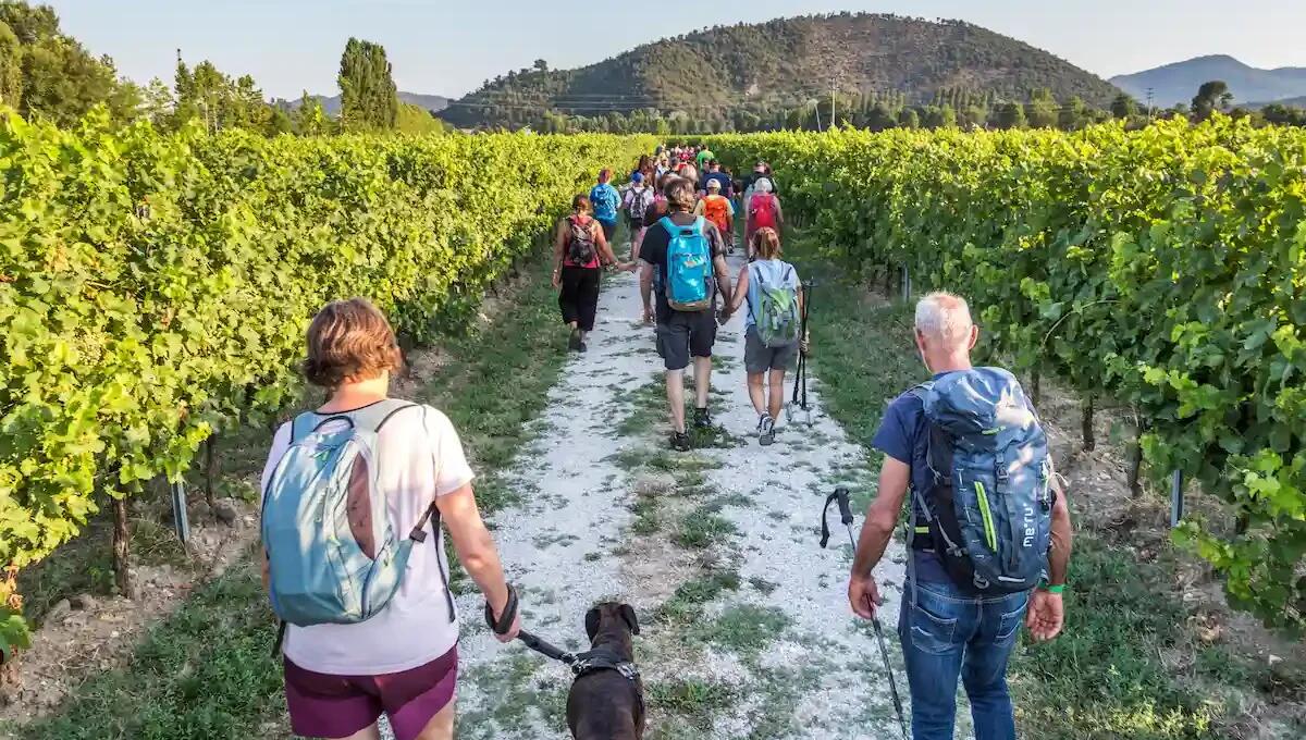 Sentieri Sonori Junior a Montegrotto: attività all'aria aperta e laboratori musicali per bambini -