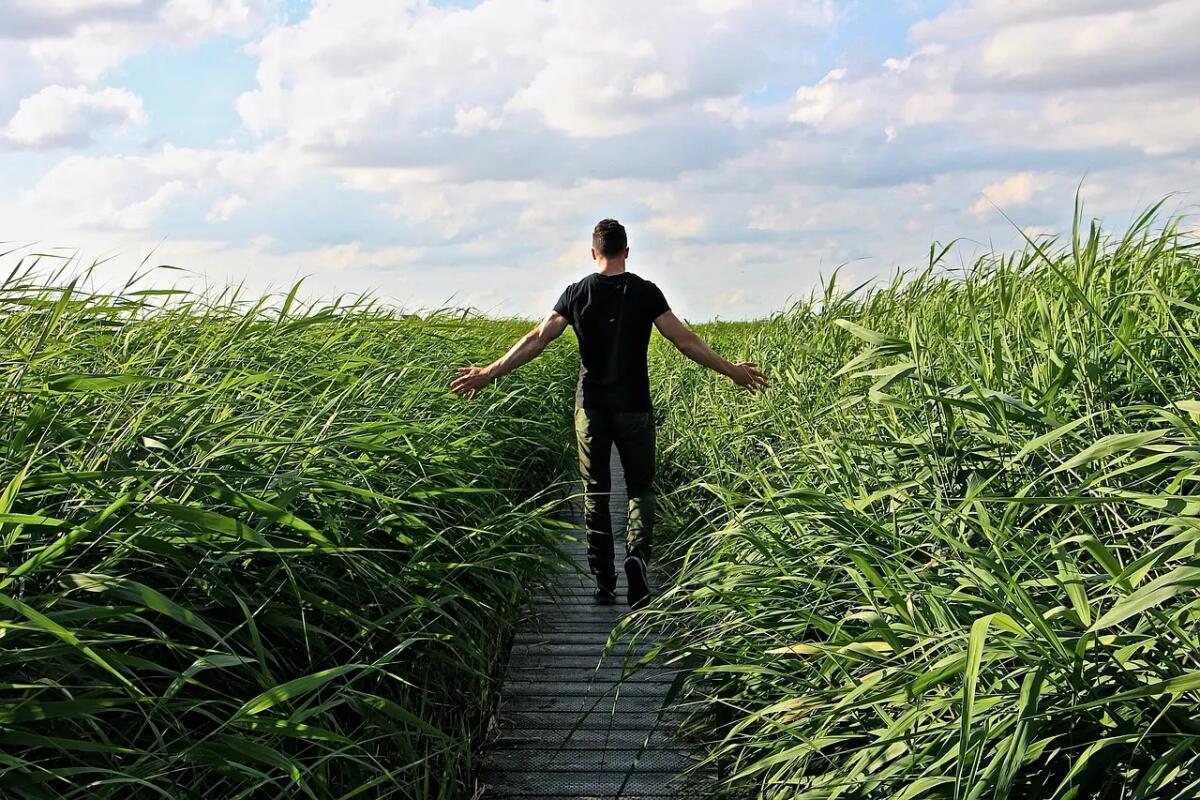 5 passeggiate da non perdere in Veneto a maggio - 