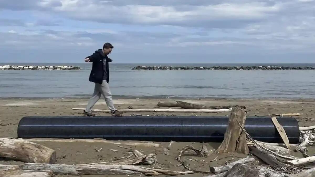 Musica, Audiovisivi, Performance: il concerto del Conservatorio Tartini di Trieste - 