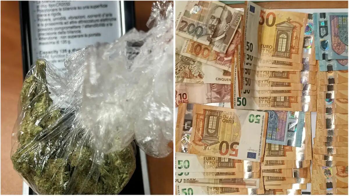 Polizia in casa di una 30enne: marijuana, sostanze psicoattive e contanti nell'appartamento - 