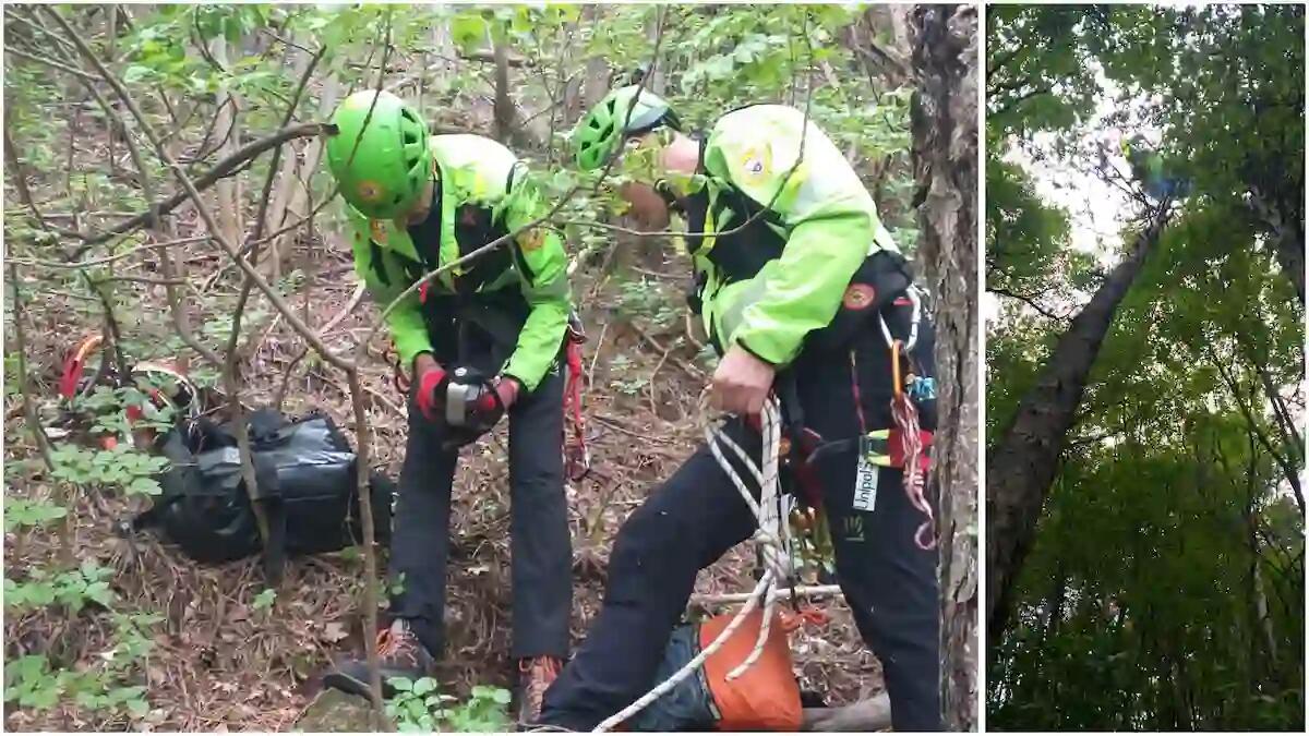 Due piloti in parapendio sospesi, rimasti bloccati tra i rami: recuperati dal Soccorso alpino - 