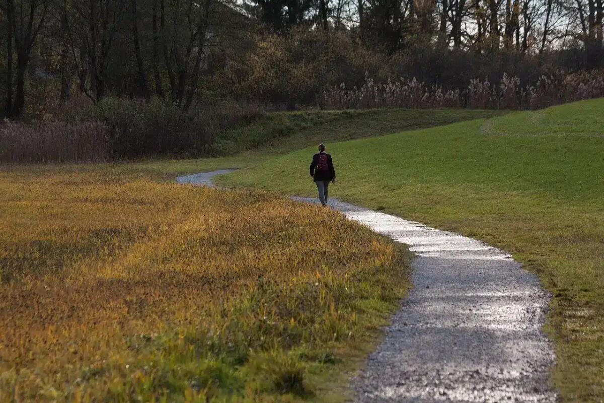 Hai mai camminato qui? Le camminate più belle del Friuli nascosto - 