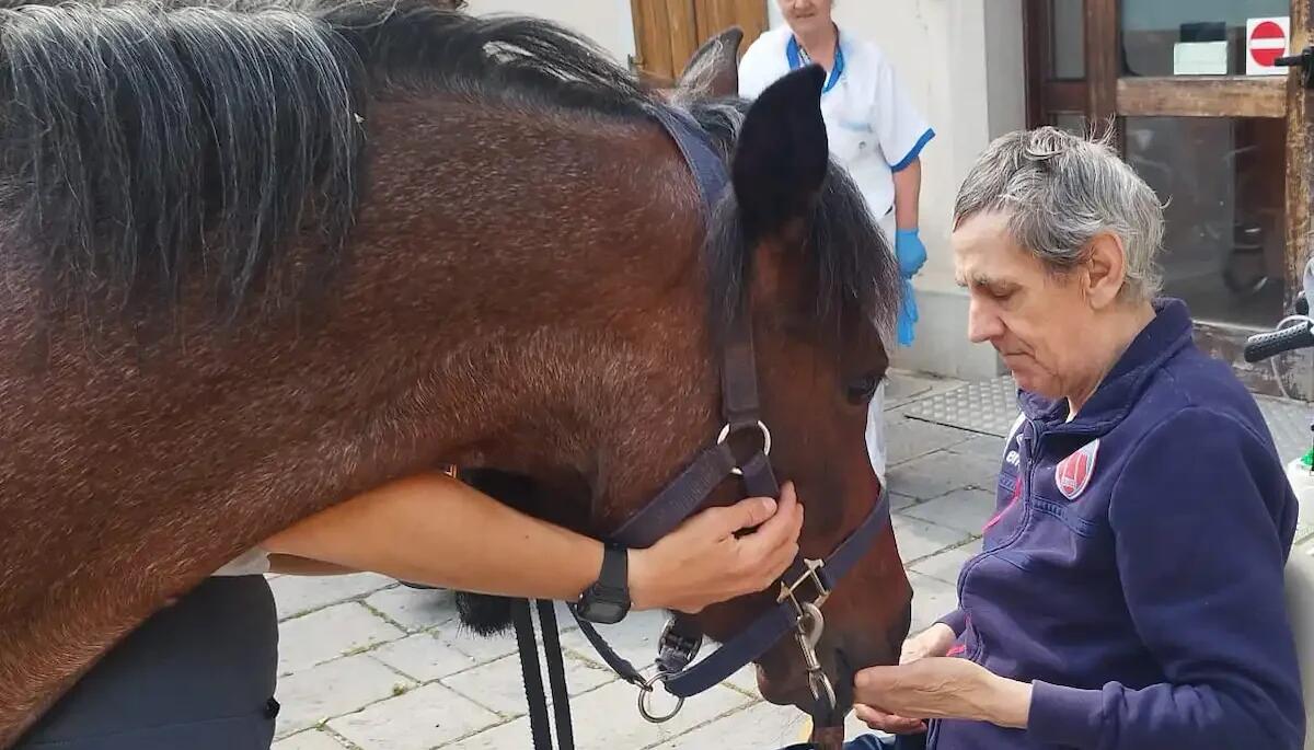 Horse therapy alla RSA di Risano: un progetto innovativo per il benessere degli ospiti - 