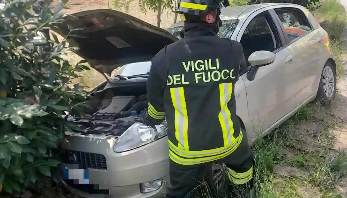 Esce di strada con l'auto e finisce contro una siepe: 75enne estratta e portata in ospedale - 