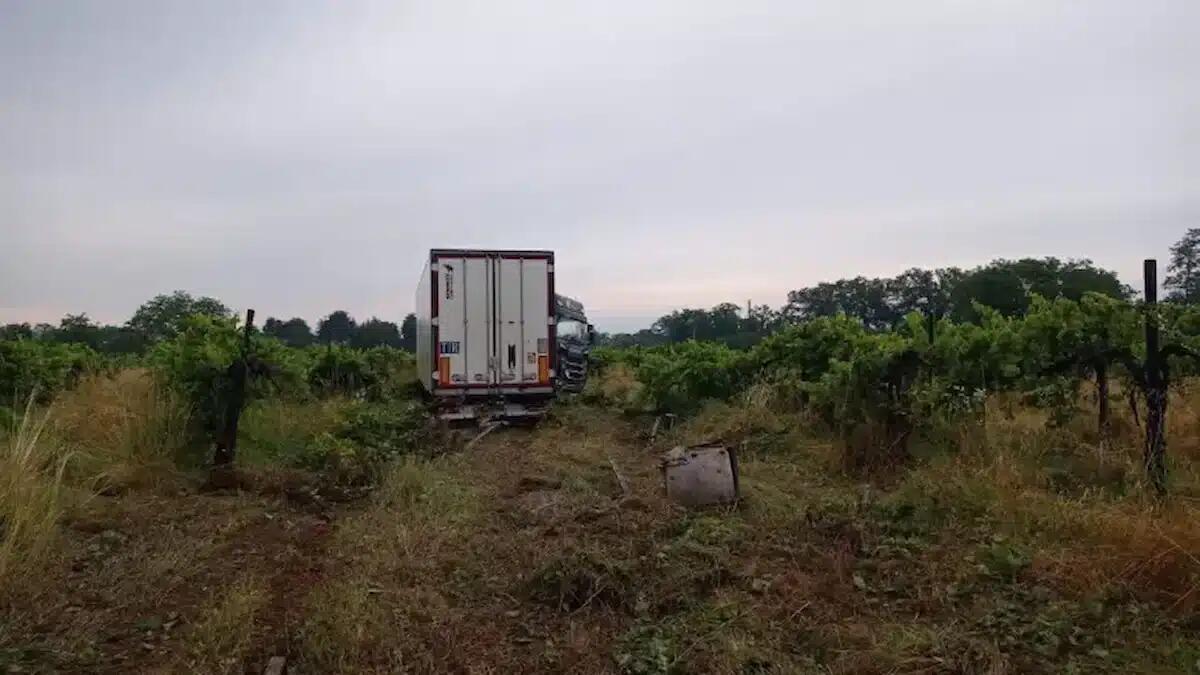 Camion frigo fuori controllo sull'A23: il mezzo sfonda la recinzione e termina nel vigneto - 