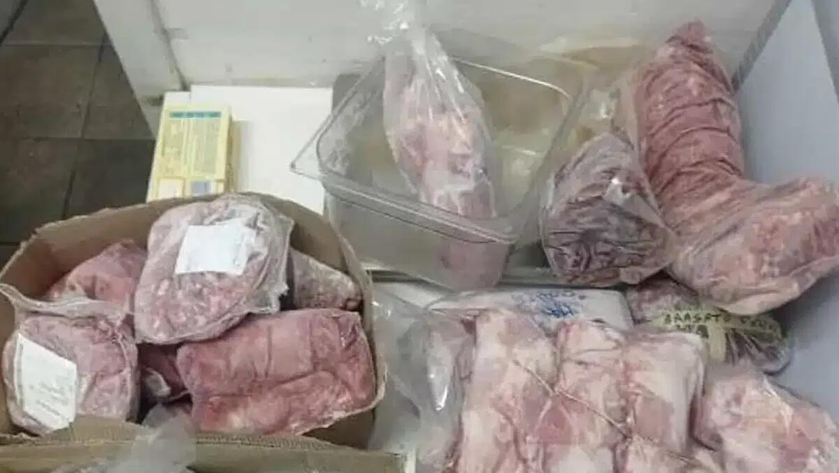 Carne scaduta nei freezer di un hotel a Pinzolo: i NAS sequestrano 70 kg di merce - 