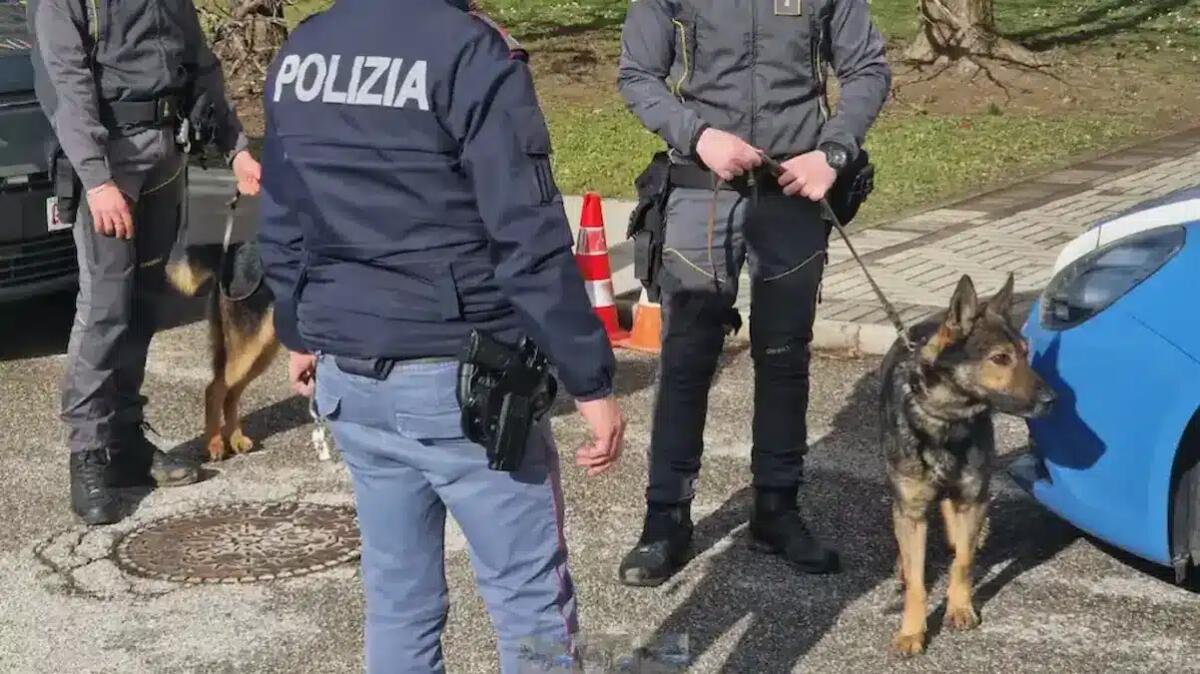 Tenta la fuga tuffandosi nel canale ma rischia di annegare: pusher salvato da un agente e arrestato - 
