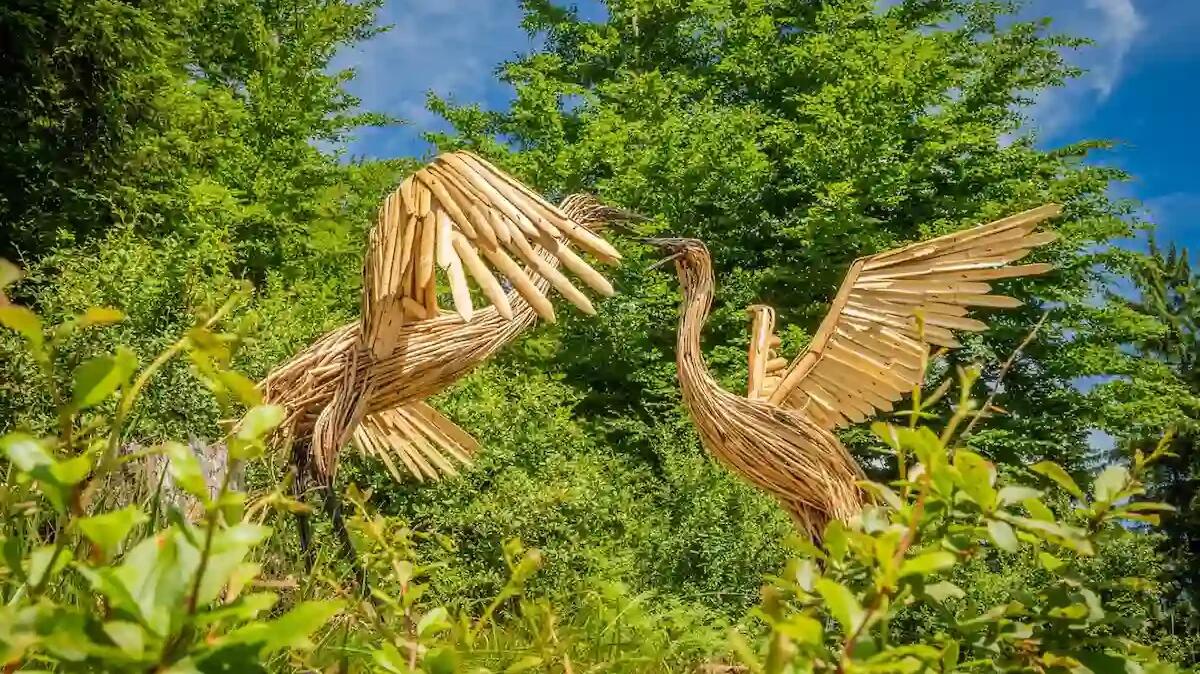 LandArt&amp;Radici a Tarvisio: arte e natura nel sentiero Rio Argento - 