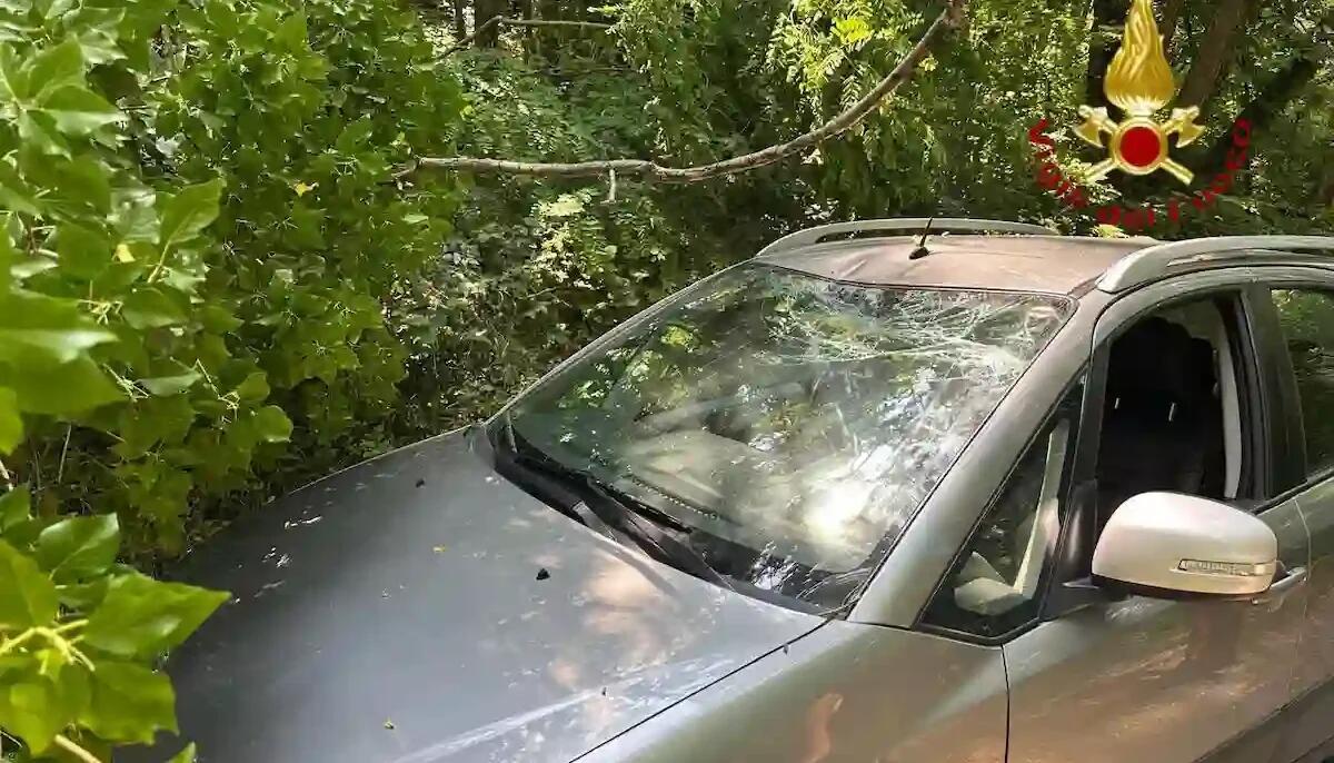 Paura a Nervesa della Battaglia, albero cade su un'auto: c'è una ragazza a bordo - 