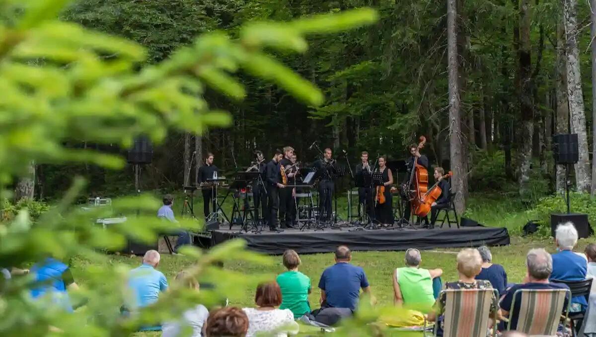 Risonanze Festival 2025: musica, liuteria e natura tra Malborghetto e Val Saisera - 