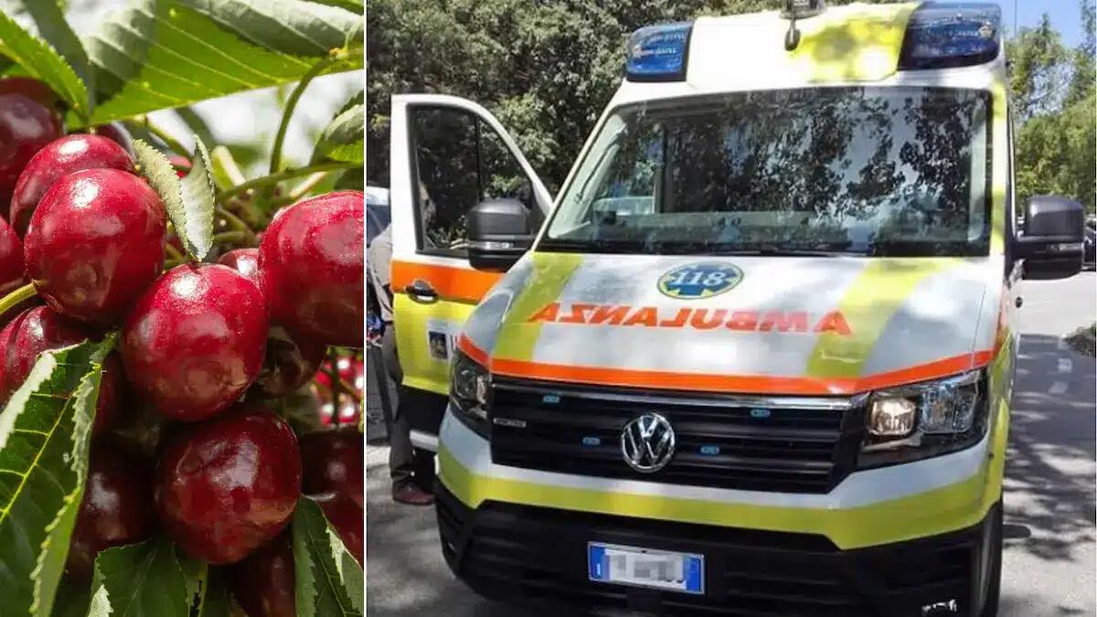 Viviana mangia una ciliegia e muore soffocata a due anni sotto gli occhi dei genitori - 