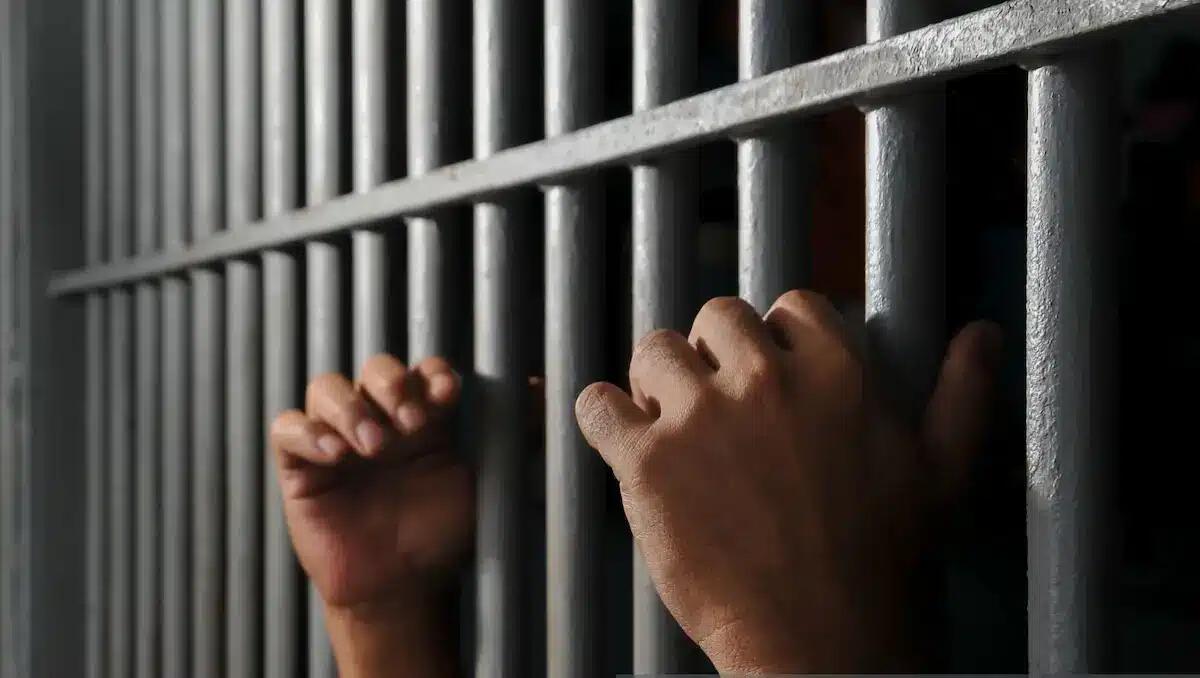 Cadavere decapitato ritrovato sull'A22, svolta dopo 17 anni: la vittima è Mustafa Sahin ucciso dal suocero - 