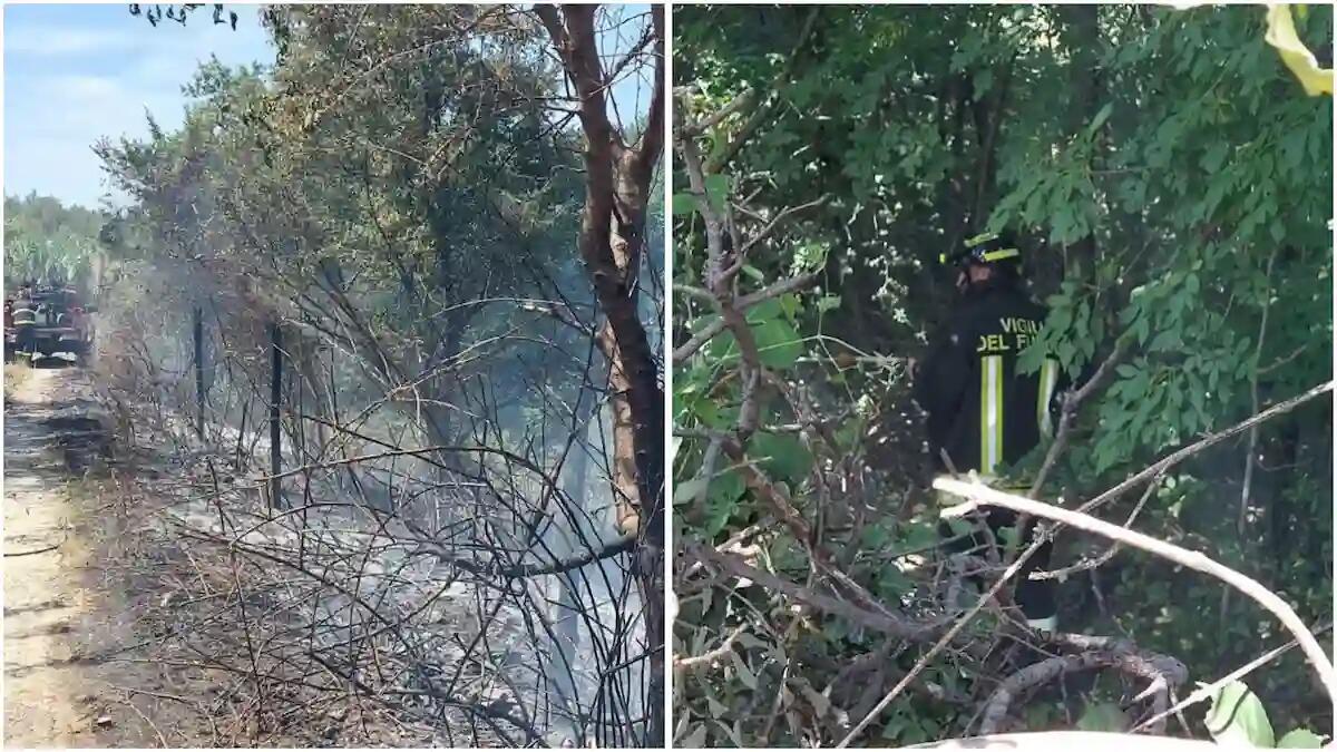 Fiamme a San Dorligo e Duino Aurisina, due roghi in pochi minuti: interventi lampo dei Vigili del fuoco - 