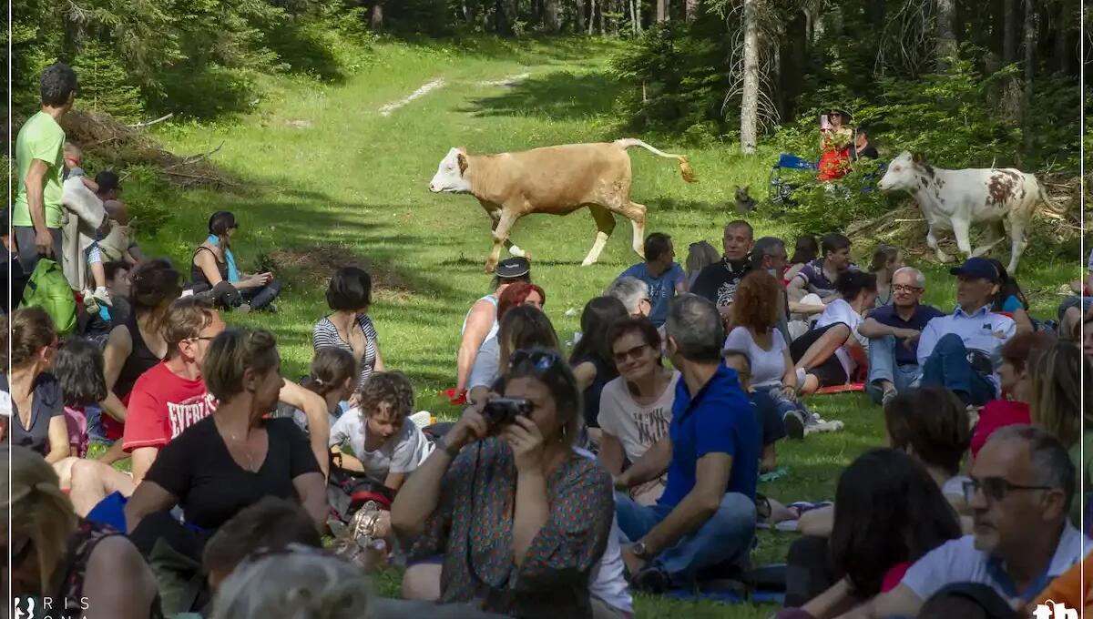 Risonanze Festival 2025: musica, natura e artigianato in Valcanale dal 14 al 22 giugno - 