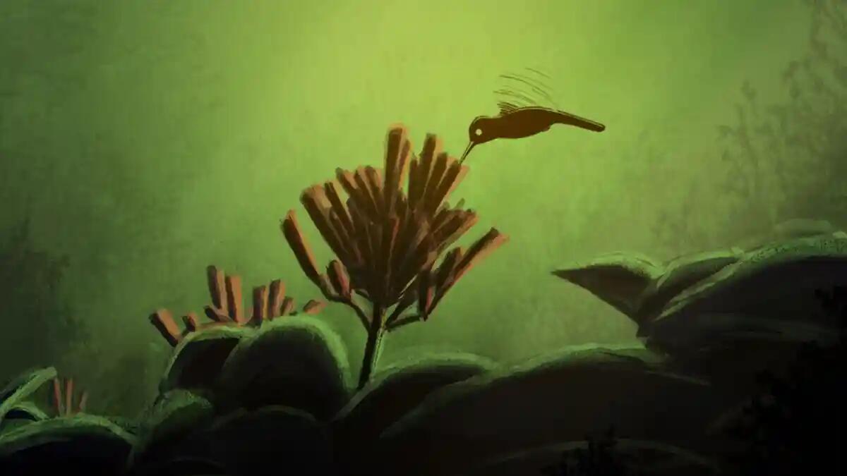 ShorTS Film Festival: i bambini e i ragazzi diventano giurati di cortometraggi - 