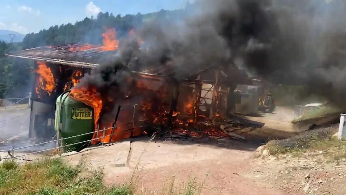 Tesero, rogo distrugge un fienile, fumo visibile a chilometri: mobilitati i pompieri da tutta la valle - 