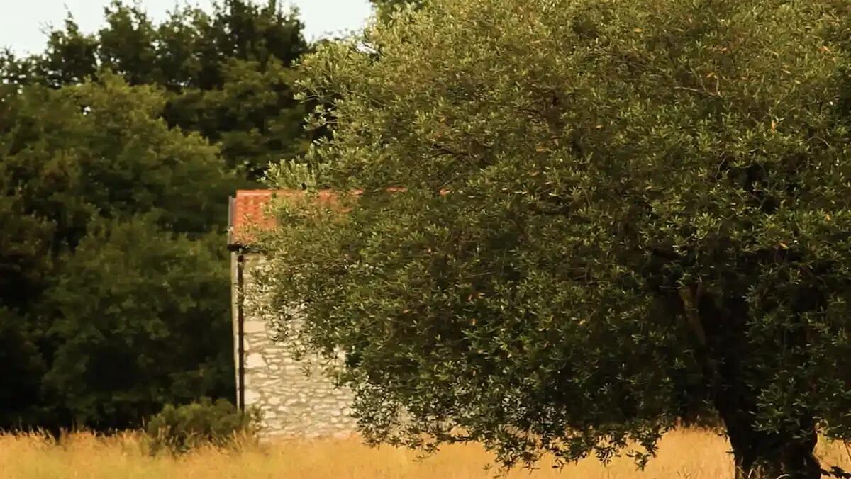 Istria ritrovata: letture e immagini al Cavò per la serata finale di “Varcare la frontiera” - 