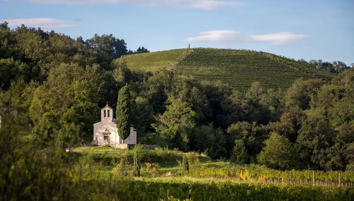Corno di Rosazzo ospita la seconda tappa de "Le Notti del Vino 2025: il 28 giugno -