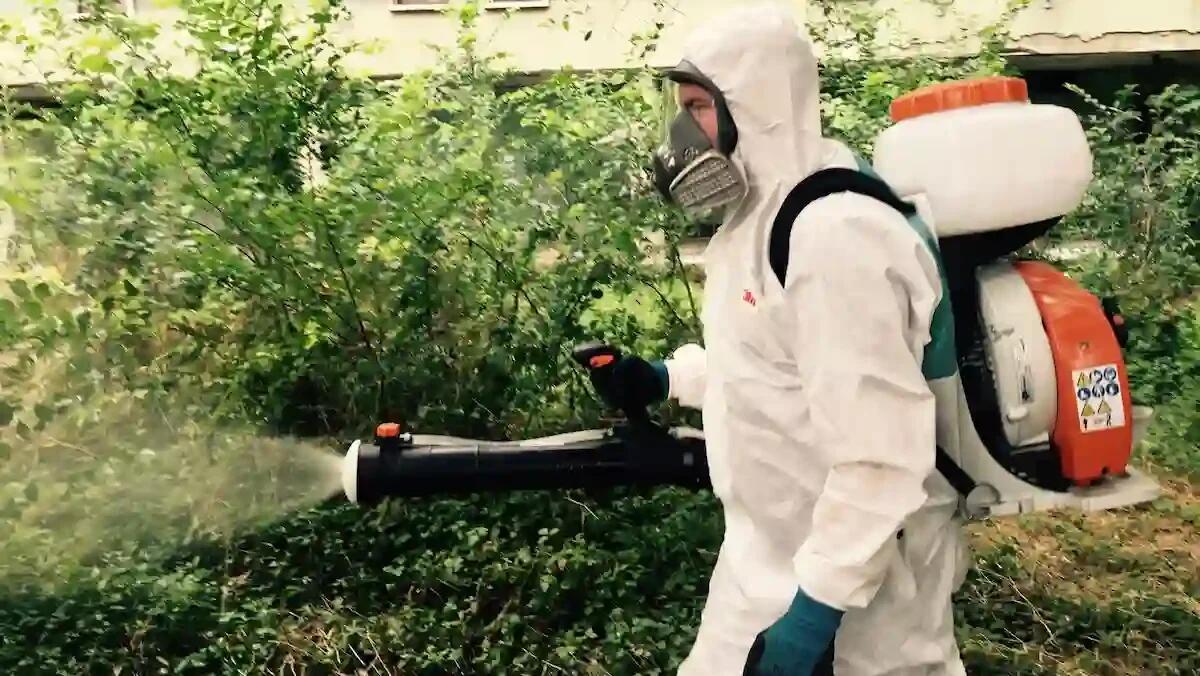 Spazi verdi e salute pubblica: a Padova triplicate le disinfestazioni dei giardini negli ultimi 4 anni - 