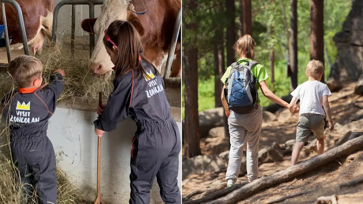5 attività imperdibili per bambini nella natura tra le Alpi Carniche quest’estate - 