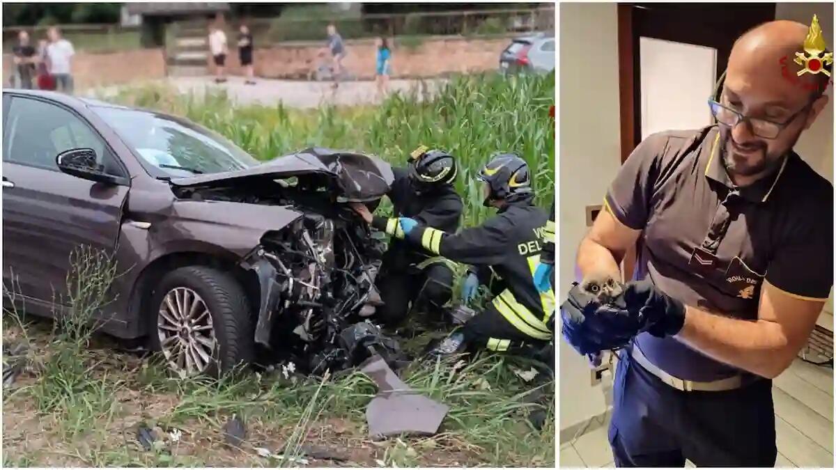 Due interventi ravvicinati dei pompieri nel vicentino: scontro tra auto e una civetta intrappolata nel camino - 