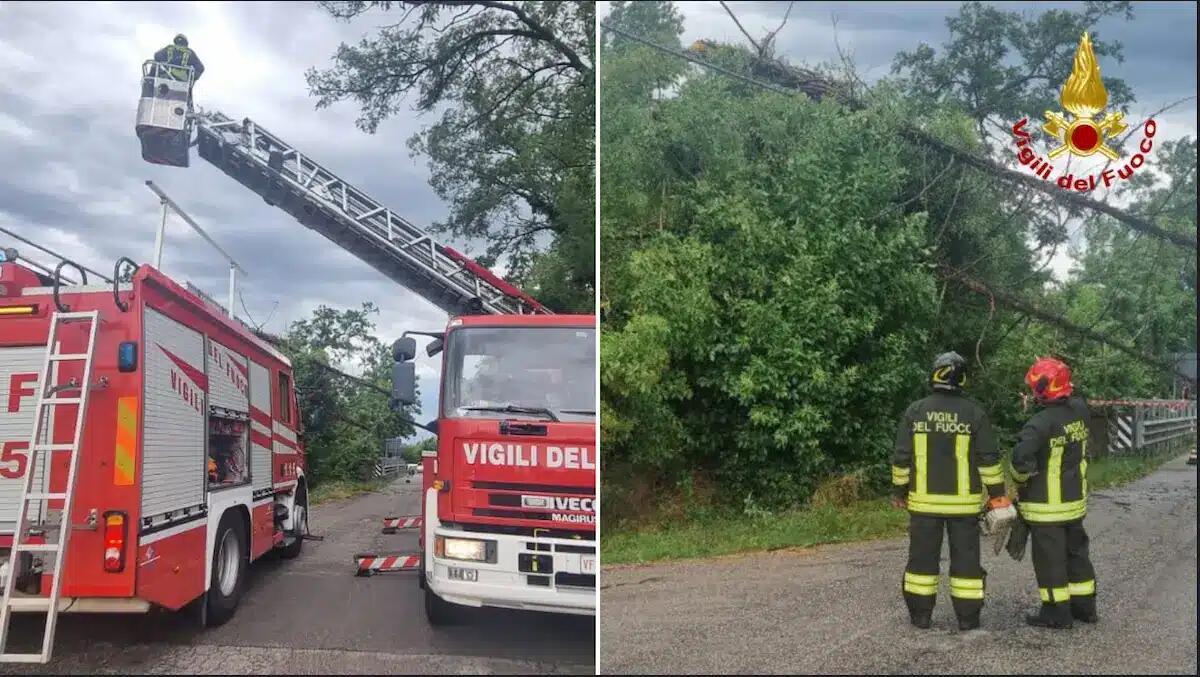 Maltempo in Friuli: raffiche di vento, grandine, alberi caduti e allagamenti. 70 interventi dei pompieri - 