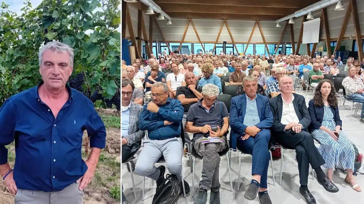 Treviso prima in Italia per sostenibilità in vigneto: ecco i numeri della rivoluzione - 
