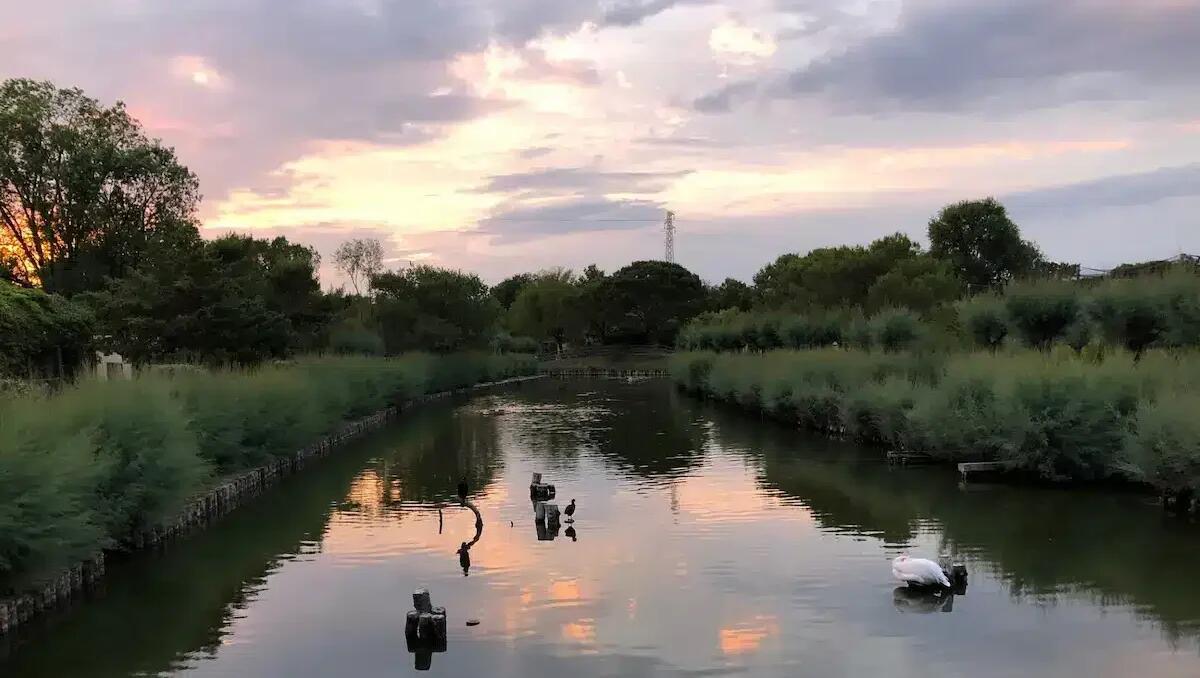 Alla scoperta degli animali notturni a Lignano: tornano le passeggiate all’imbrunire al Parco Zoo - 