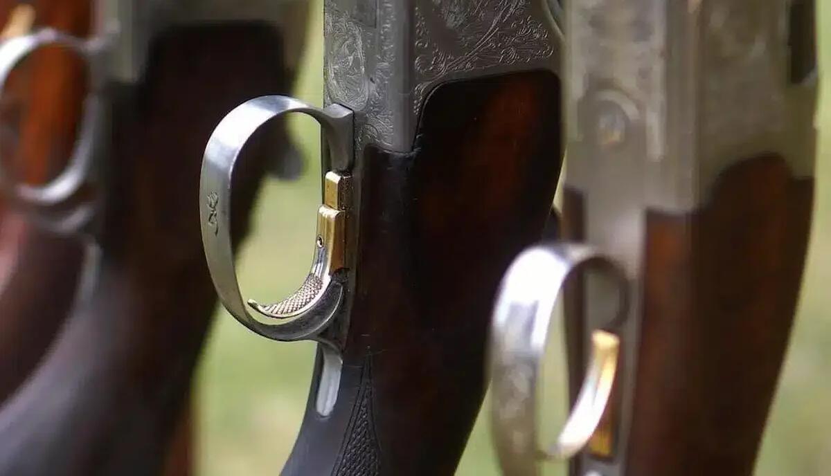 Scoperto con tre fucili in casa nonostante il divieto: armi sequestrate a un 53enne denunciato - 